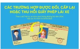 C&aacute;c trường hợp được đổi, cấp lại hoặc thu hồi giấy ph&eacute;p l&aacute;i xe từ 1/1/2025