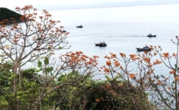 Khai mạc Festival C&ugrave; Lao Ch&agrave;m &ndash; M&ugrave;a Ng&ocirc; đồng đỏ