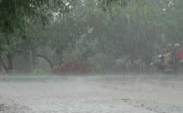 Nhiều khu vực mưa d&ocirc;ng về chiều tối v&agrave; đ&ecirc;m, c&oacute; nơi tr&ecirc;n 80 mm