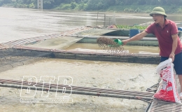 N&ocirc;ng d&acirc;n Hưng H&agrave;: Tận dụng tiềm năng của địa phương để ph&aacute;t triển kinh tế