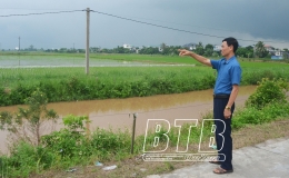 Quỳnh Phụ: Người d&acirc;n đồng thuận với dự &aacute;n khu c&ocirc;ng nghiệp dược - sinh học