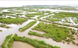 Th&aacute;i B&igrave;nh bảo đảm ph&aacute;t triển kinh tế biển đi đ&ocirc;i với bảo tồn đa dạng sinh học