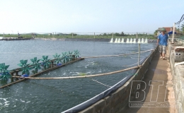 Th&aacute;i Thụy: Bảo vệ thủy sản m&ugrave;a mưa b&atilde;o