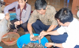 Khai th&aacute;c hải sản vụ bắc - những t&iacute;n hiệu đ&aacute;ng mừng.