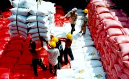 Xuất khẩu gạo sẽ đạt mức kỷ lục trong năm 2010 
 
