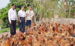 Tỏa s&aacute;ng phẩm chất Bộ đội Cụ Hồ