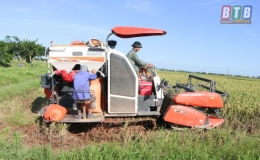 Vũ Đo&agrave;i: Thu hoạch l&uacute;a m&ugrave;a, trồng c&acirc;y m&agrave;u vụ đ&ocirc;ng