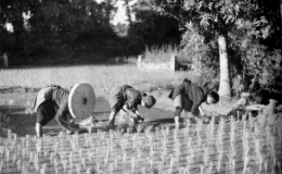 Ph&aacute;o đ&agrave;i đồng bằng