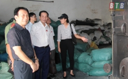 Thường trực HĐND tỉnh gi&aacute;m s&aacute;t tại huyện Th&aacute;i Thụy