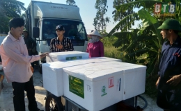 X&acirc;y dựng m&ocirc; h&igrave;nh ứng dụng chế phẩm vi sinh vật trong nu&ocirc;i t&ocirc;m thẻ ch&acirc;n trắng