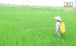 &Ocirc; nhiễm m&ocirc;i trường từ thuốc bảo vệ thực vật