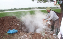 Đ&ocirc;ng Hưng: Gần 80% số x&atilde; c&ocirc;ng bố hết bệnh dịch tả lợn ch&acirc;u Phi