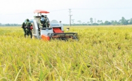 Ph&aacute;t động cuộc thi viết về &ldquo;Người Th&aacute;i B&igrave;nh, đất Th&aacute;i B&igrave;nh&rdquo;