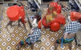 M&agrave;n "m&uacute;a l&acirc;n" của sinh vi&ecirc;n trong k&yacute; t&uacute;c x&aacute;