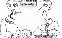 Giới thiệu đ&uacute;ng nghề