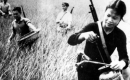 Ph&aacute;o đ&agrave;i đồng bằng