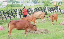 Phụ nữ Th&aacute;i Thụy vươn l&ecirc;n từ vốn vay ưu đ&atilde;i