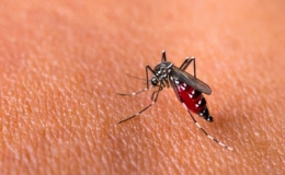 3 sai lầm khiến bệnh nh&acirc;n trở nặng khi bị bệnh sốt xuất huyết