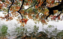 Bắc Bộ mưa giảm dần