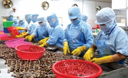 Chủ động hội nhập để th&agrave;nh c&ocirc;ng