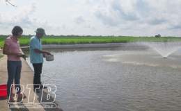 Hội n&ocirc;ng d&acirc;n huyện Kiến Xương: N&acirc;ng cao hiệu quả hoạt động