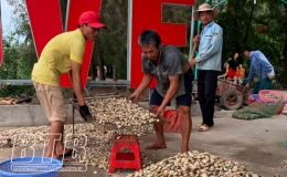 Th&aacute;i Thụy nu&ocirc;i trồng v&agrave; khai th&aacute;c thủy hải sản ước đạt gần 71.000 tấn