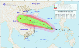 Tin b&atilde;o khẩn cấp (Cơn b&atilde;o số 5)