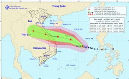 Tin b&atilde;o khẩn cấp (Cơn b&atilde;o số 5)