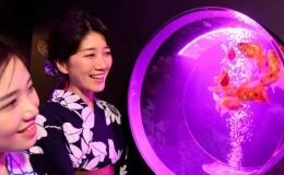 Triển l&atilde;m nghệ thuật 30.000 con c&aacute; ở Nhật Bản