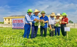 Ứng dụng khoa học kỹ thuật trong lĩnh vực n&ocirc;ng nghiệp