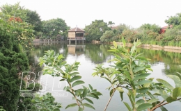 B&aacute;ch Thuận: Lợi &iacute;ch k&eacute;p từ nh&agrave; vườn đẹp