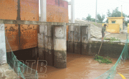 C&aacute;c địa phương, đơn vị t&iacute;ch cực, chủ động ứng ph&oacute; với b&atilde;o Conson