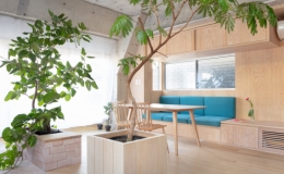 Căn nh&agrave; d&agrave;nh ri&ecirc;ng cầu thang cho c&acirc;y xanh