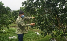 Ph&uacute; B&igrave;nh: Kết quả x&acirc;y dựng n&ocirc;ng th&ocirc;n mới từ học v&agrave; l&agrave;m theo B&aacute;c