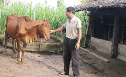 Kinh nghiệm giảm ngh&egrave;o bền vững ở Tr&agrave; Vinh