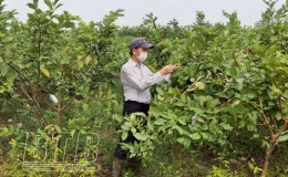 Luồng gi&oacute; mới cho n&ocirc;ng nghiệp ph&aacute;t triển