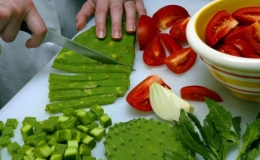 M&oacute;n ăn l&agrave;m từ xương rồng độc đ&aacute;o ở Mexico