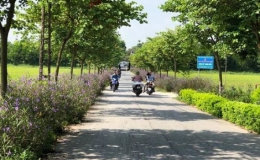 S&oacute;c Sơn: Nhiều m&ocirc; h&igrave;nh điểm từ x&acirc;y dựng n&ocirc;ng th&ocirc;n mới