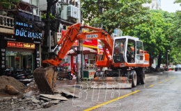 Th&agrave;nh phố: Giải ph&aacute;p chống ngập