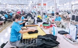 Th&agrave;nh phố: T&iacute;ch cực triển khai Nghị quyết số 68