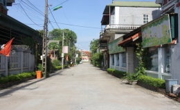 Vĩnh Ph&uacute;c: Đẩy nhanh tiến độ x&acirc;y dựng n&ocirc;ng th&ocirc;n mới n&acirc;ng cao