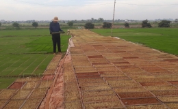 Chị Lanh - n&ocirc;ng d&acirc;n thời 4.0