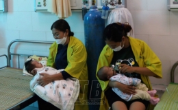 Chủ động ph&ograve;ng bệnh  do virus Adeno g&acirc;y ra