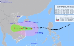 C&ocirc;ng điện khẩn số 15/CĐ-PCTT của Ban Chỉ huy PCTT v&agrave; TKCN tỉnh Th&aacute;i B&igrave;nh