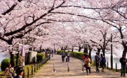 Kh&aacute;ch Việt Nam đ&atilde; c&oacute; thể du lịch Nhật Bản