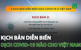 Kịch bản diễn biến dịch COVID-19 n&agrave;o cho Việt Nam?