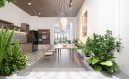 Nh&agrave; phố đưa &aacute;nh s&aacute;ng v&agrave; c&acirc;y xanh v&agrave;o nh&agrave;, kh&iacute; tươi tr&agrave;n ngập