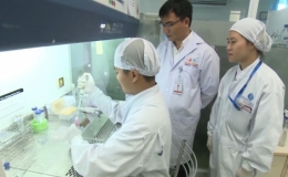 Ph&oacute; gi&aacute;o sư Việt nghi&ecirc;n cứu thuốc trị vi&ecirc;m phổi từ tế b&agrave;o gốc