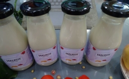 Sinh vi&ecirc;n l&agrave;m sữa thực vật từ b&atilde; đậu n&agrave;nh v&agrave; hạt lựu