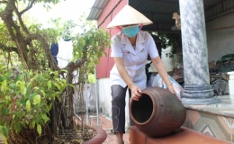  Th&aacute;i B&igrave;nh đ&atilde; ghi nhận 192 ca mắc sốt xuất huyết